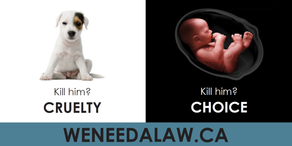 animal cruelty billboard