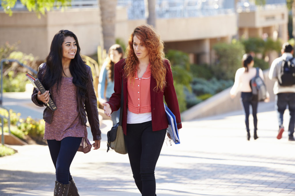 Female Students Talking On University Campus